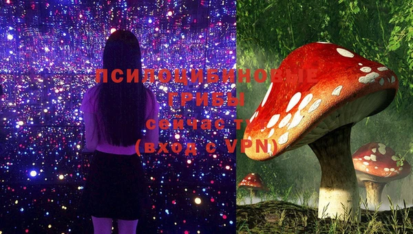 бошки Гусев