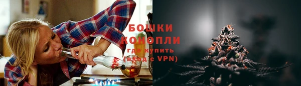 PSILOCYBIN Гусь-Хрустальный