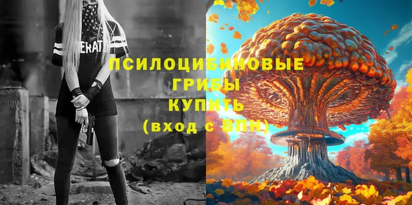 ECSTASY Гусиноозёрск