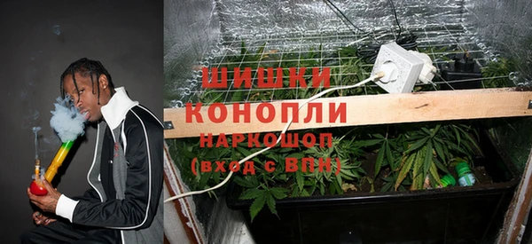 PSILOCYBIN Гусь-Хрустальный
