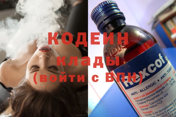 бошки Гусев
