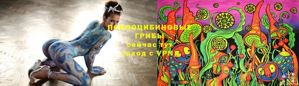 PSILOCYBIN Гусь-Хрустальный