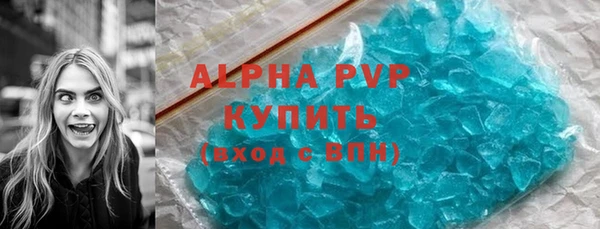 бошки Гусев