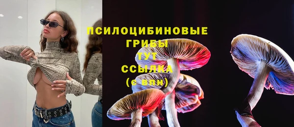 PSILOCYBIN Гусь-Хрустальный