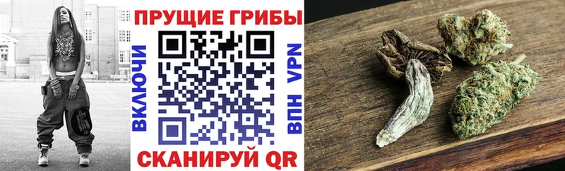 даркнет сайт Новосокольники Галлюциногенные грибы ЛСД